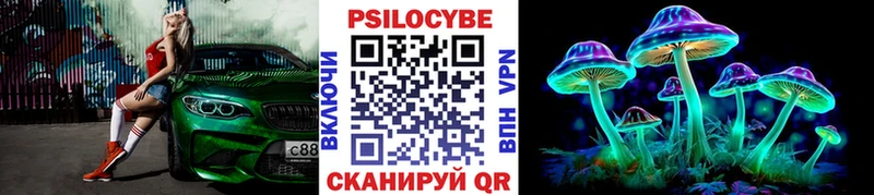 Псилоцибиновые грибы Cubensis  Купить где  Медынь 
